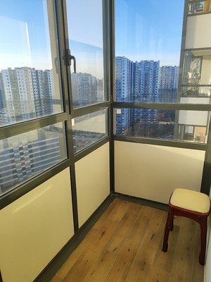 Сдам однокомнатную (1-комн.) квартиру, Дальневосточный пр-кт, 35к3, Санкт-Петербург г