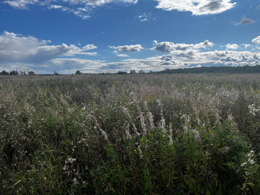 Продам участок 6,9 соток, ИЖС, Кузьминское с, 0 км от города