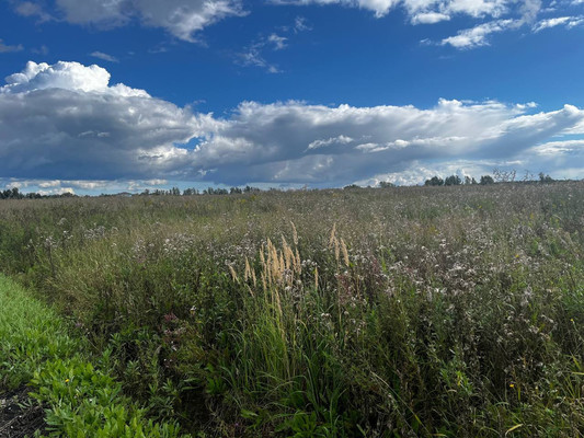 Продам участок 6,9 соток, ИЖС, Кузьминское с, 0 км от города