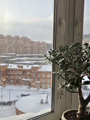 Продам однокомнатную (1-комн.) квартиру, Южный мкр, 9, Котельники г