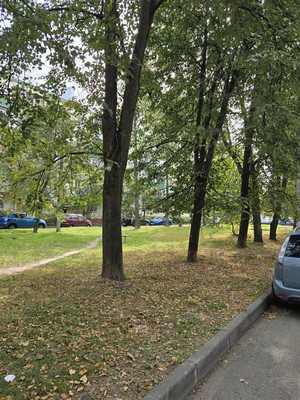 Продам однокомнатную (1-комн.) квартиру, Ильюшина (Авиационный мкр.) ул, 11к3, Домодедово г