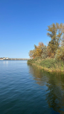 Продам коттедж, Мичуринец тер. СНТ, 1649, Волгодонск г, 0 км от города