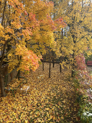 Продам таунхаус, Говорова ул, 99, Каринское с, 0 км от города