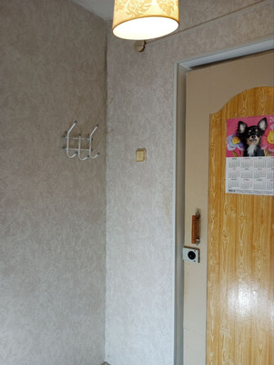 Продам однокомнатную (1-комн.) квартиру, 50 лет Октября ул, 17, Гамово с