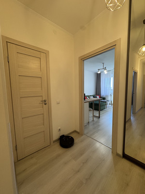 Продам двухкомнатную (2-комн.) квартиру, Арцеуловская аллея, 21, Санкт-Петербург г