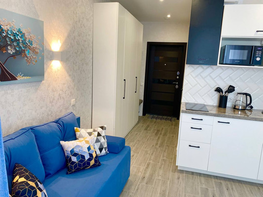 Продам однокомнатную (1-комн.) квартиру, Ясногорская (Хостинский р-н) ул, 16/8к3, Сочи г