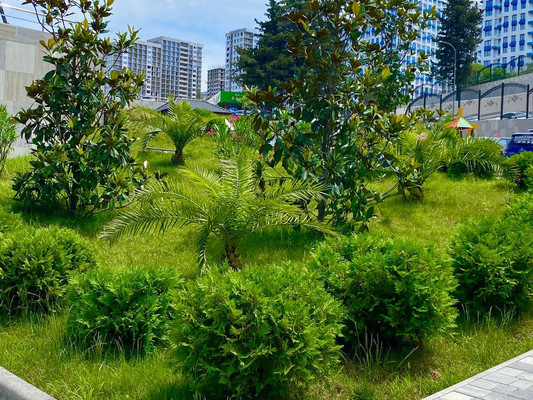 Продам однокомнатную (1-комн.) квартиру, Ясногорская (Хостинский р-н) ул, 16/8к3, Сочи г