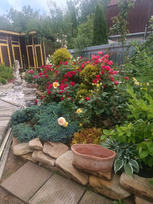 Продам дом, Богоявление д, 0 км от города