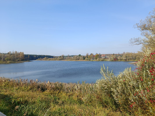 Продам дом, Богоявление д, 0 км от города