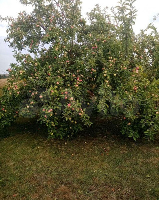 Продам дом, 55, Богатищево д, 0 км от города