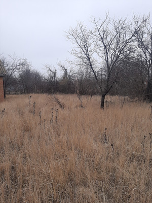 Продам дачу, Волгодонской Садовод тер. СНТ, 288ж, Волгодонск г, 0 км от города