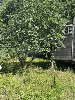 Продам , Некрасова ул, 55, Кратово дп, 0 км от города