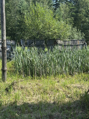 Продам , Некрасова ул, 55, Кратово дп, 0 км от города