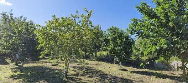 Продам дом, Мира ул, Трудобеликовский х, 0 км от города