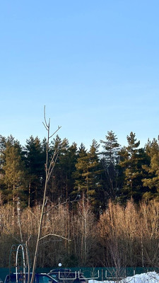 Продам дом, Алёшинская Долина ул, 73к2, Вороновское п, 0 км от города