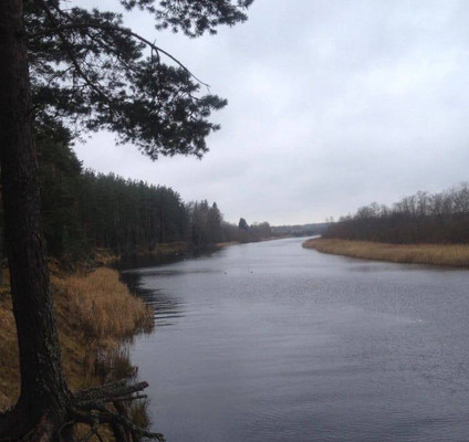 Продам участок 28 соток, ИЖС, Ванакюля д, 0 км от города