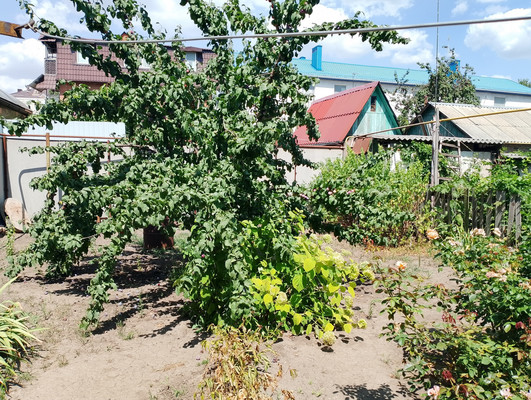 Продам участок 2,5 соток, ИЖС, Нариманова ул, 105, Ростов-на-Дону г, 0 км от города