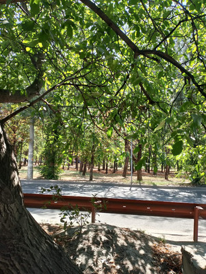 Продам участок 2,5 соток, ИЖС, Нариманова ул, 105, Ростов-на-Дону г, 0 км от города