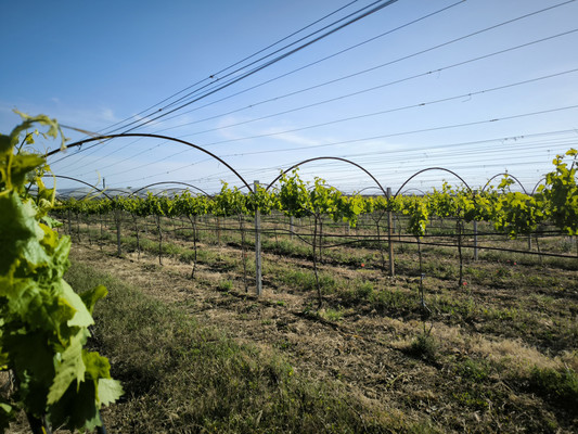 Продам участок 5 888 соток, Фермерское хоз., Песчаное с, 0 км от города