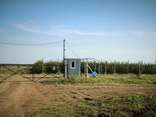 Продам участок 5 888 соток, Фермерское хоз., Песчаное с, 0 км от города