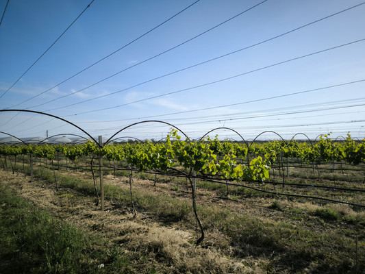 Продам участок 5 888 соток, Фермерское хоз., Песчаное с, 0 км от города