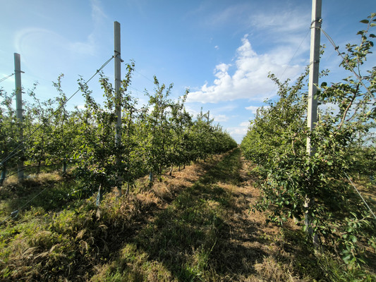 Продам участок 5 888 соток, Фермерское хоз., Песчаное с, 0 км от города