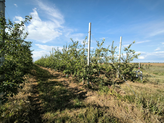 Продам участок 5 888 соток, Фермерское хоз., Песчаное с, 0 км от города