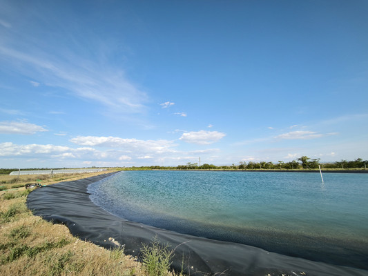 Продам участок 5 888 соток, Фермерское хоз., Песчаное с, 0 км от города