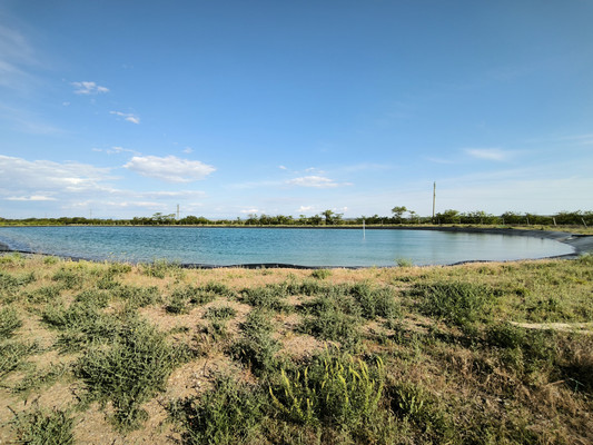 Продам участок 5 888 соток, Фермерское хоз., Песчаное с, 0 км от города