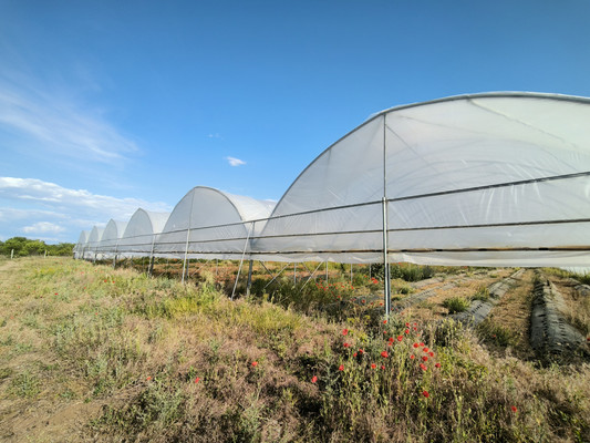 Продам участок 5 888 соток, Фермерское хоз., Песчаное с, 0 км от города