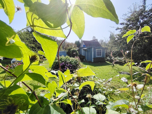 Продам дачу, Дубки снт, Порядино д, 0 км от города