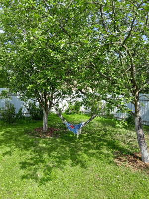 Продам дачу, Дубки снт, Порядино д, 0 км от города