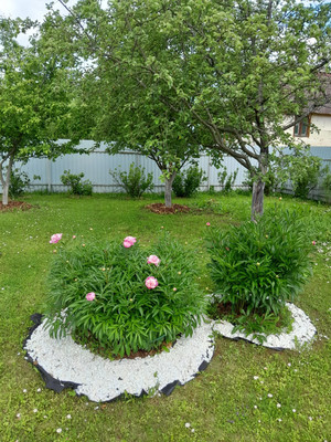 Продам дачу, Дубки снт, Порядино д, 0 км от города