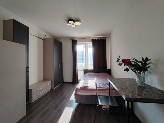 Сдам однокомнатную (1-комн.) квартиру, Плесецкая ул, 16, Санкт-Петербург г