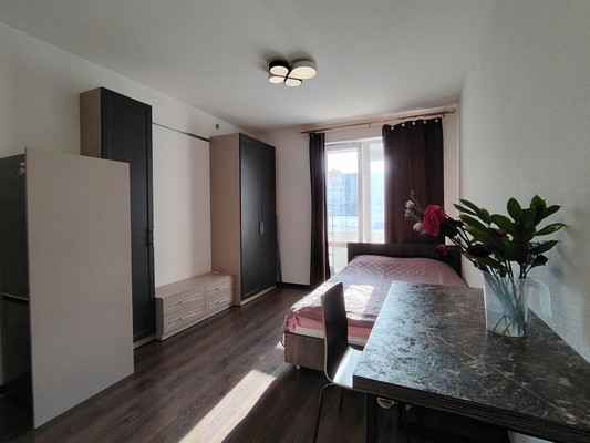 Сдам однокомнатную (1-комн.) квартиру, Плесецкая ул, 16, Санкт-Петербург г