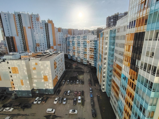 Сдам однокомнатную (1-комн.) квартиру, Плесецкая ул, 16, Санкт-Петербург г