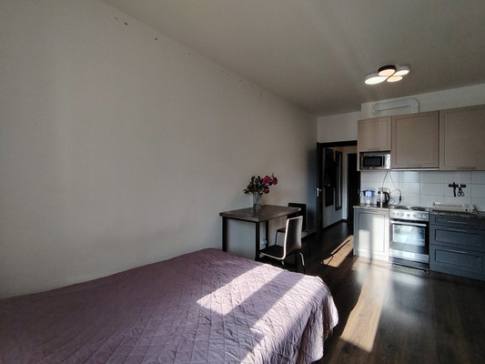 Сдам однокомнатную (1-комн.) квартиру, Плесецкая ул, 16, Санкт-Петербург г