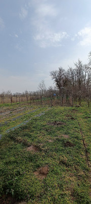 Продам участок 9 соток, ИЖС, Мира ул, Красный Курган х, 0 км от города