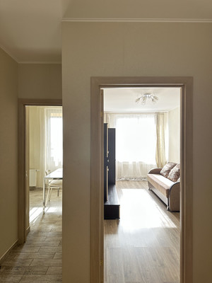 Сдам однокомнатную (1-комн.) квартиру, Просвещения пр-кт, 15, Санкт-Петербург г