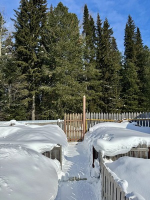 Продам дачу, ДНТ Разведчик 10 км автодороги Х-М-Т снт, 301, Ханты-Мансийск г, 0 км от города