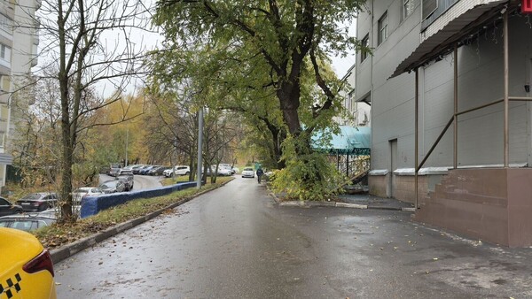 Продам коммерческое помещение 552,4 м2, Паустовского ул, 8к1, Москва г