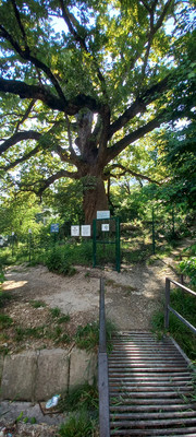 Продам однокомнатную (1-комн.) квартиру, Школьная ул, 1, Агой с