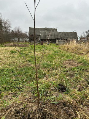 Продам дом, Брянская ул, 28, Большое Полпино рп, 0 км от города