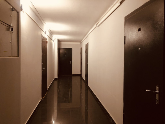 Продам однокомнатную (1-комн.) квартиру, Архитектора Данини ул, 5А, Пушкин г