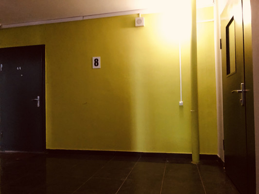 Продам однокомнатную (1-комн.) квартиру, Архитектора Данини ул, 5А, Пушкин г