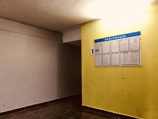 Продам однокомнатную (1-комн.) квартиру, Архитектора Данини ул, 5А, Пушкин г