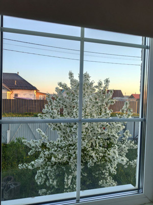 Продам коттедж, Каштановая ул, 6, Култаево тер. СНТ, 0 км от города