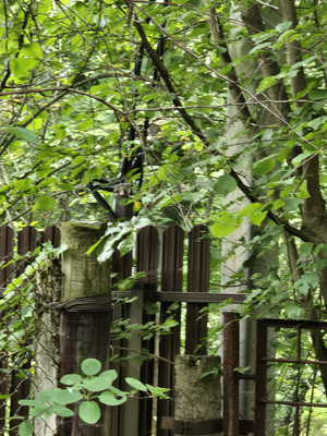 Продам дачу, Шматово д, 0 км от города