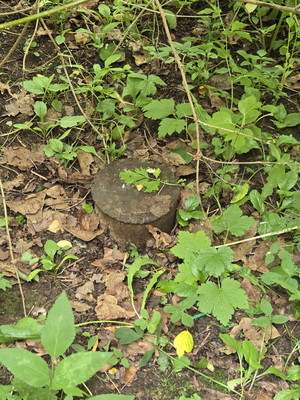 Продам дачу, Шматово д, 0 км от города