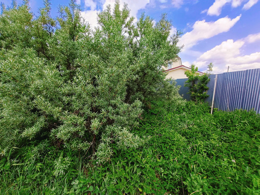 Продам участок 6 соток, ИЖС, Привольная ул, Руднево д, 0 км от города